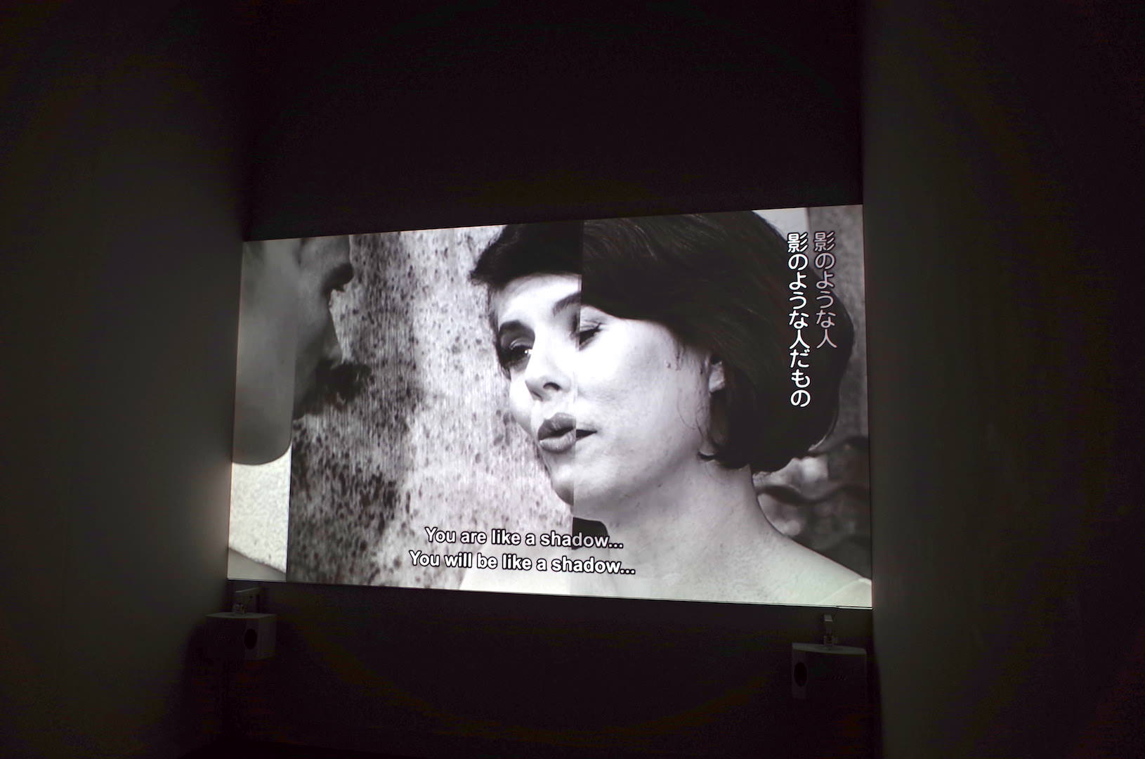 古き映画に撮り下ろしの映像を重ね合わせて見せる手法が面白かったです。