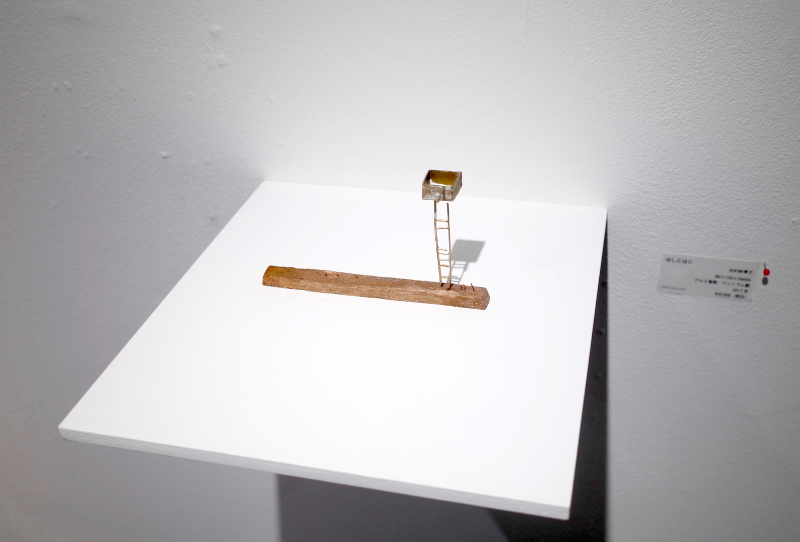 【個展】杉村紗季子 「いもの展 -くらす / はなす / とかす こと-」@JINEN Gallery