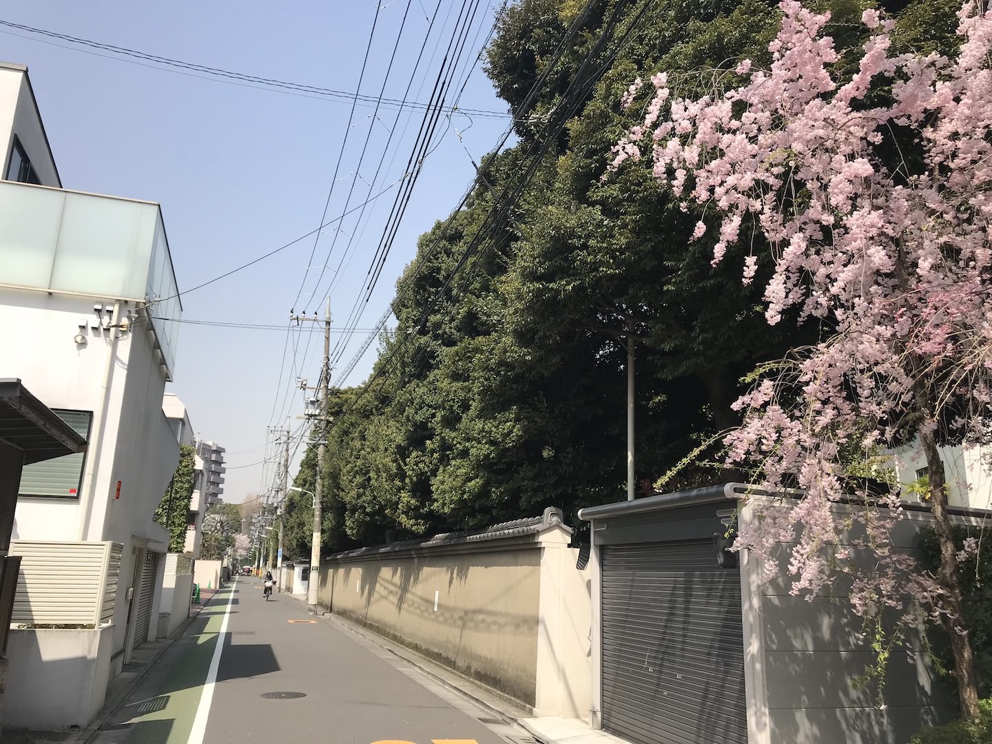 【後期】現代美術に魅せられて―原俊夫による原美術館コレクション展＠原美術館
