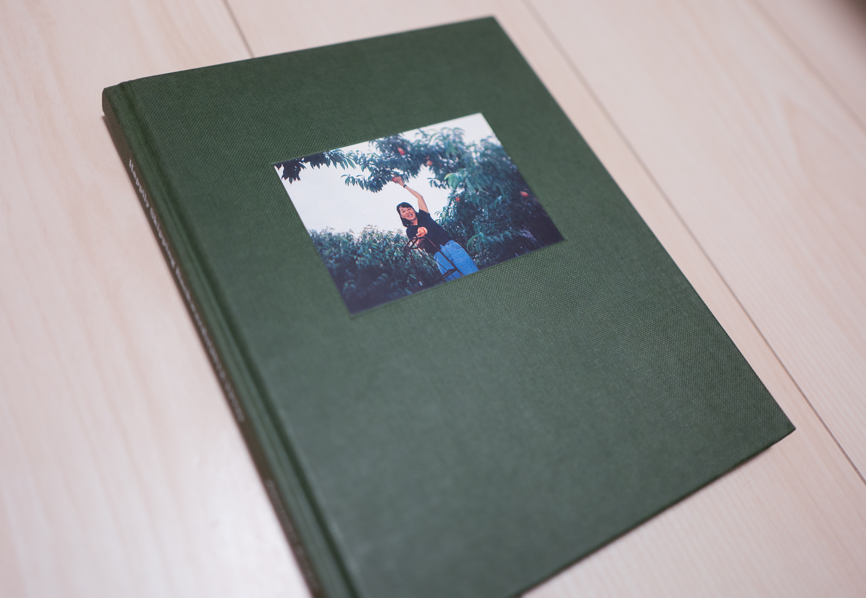 Edition of 150 90pages 21x17cm Art and photographs by Atsushi Kaga €10