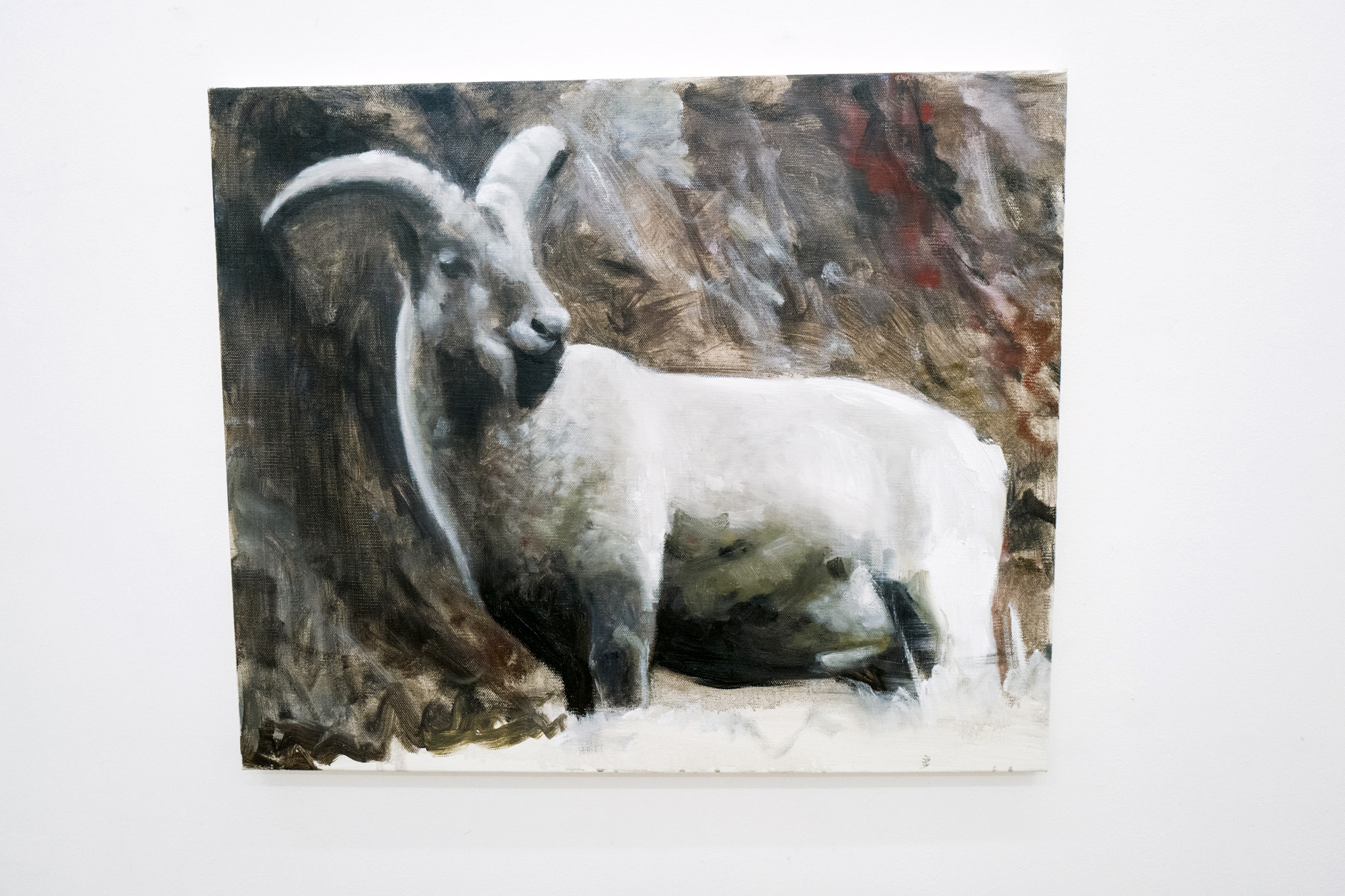 【グループ展】「絵画のなかの動物たち」 〜川田龍、内藤京平、林祐衣、平田守＠Bambinart Gallery