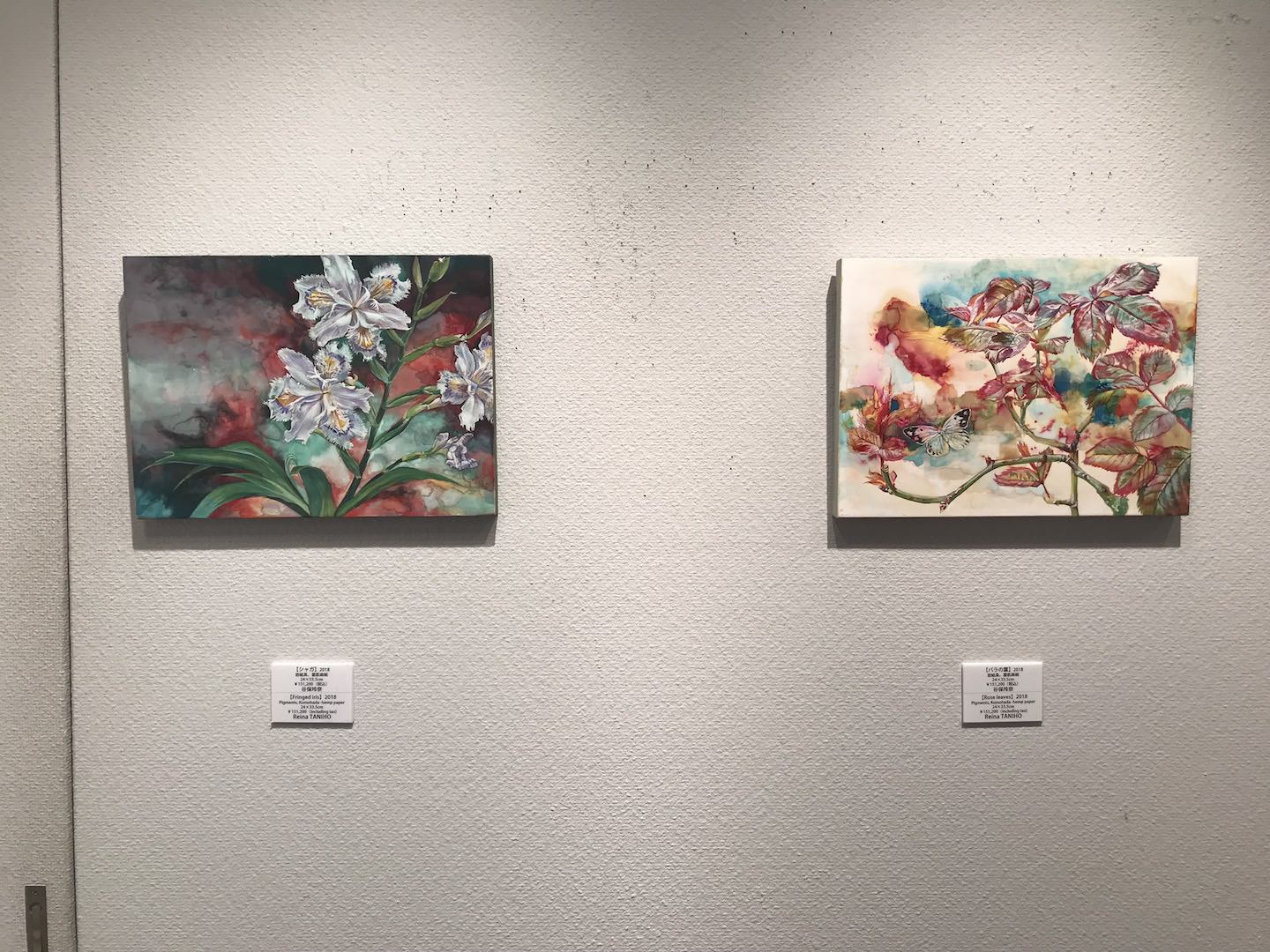 左：「シャガ」 右：「バラの葉」2018 岩絵具、雲肌麻紙 24×33.5cm