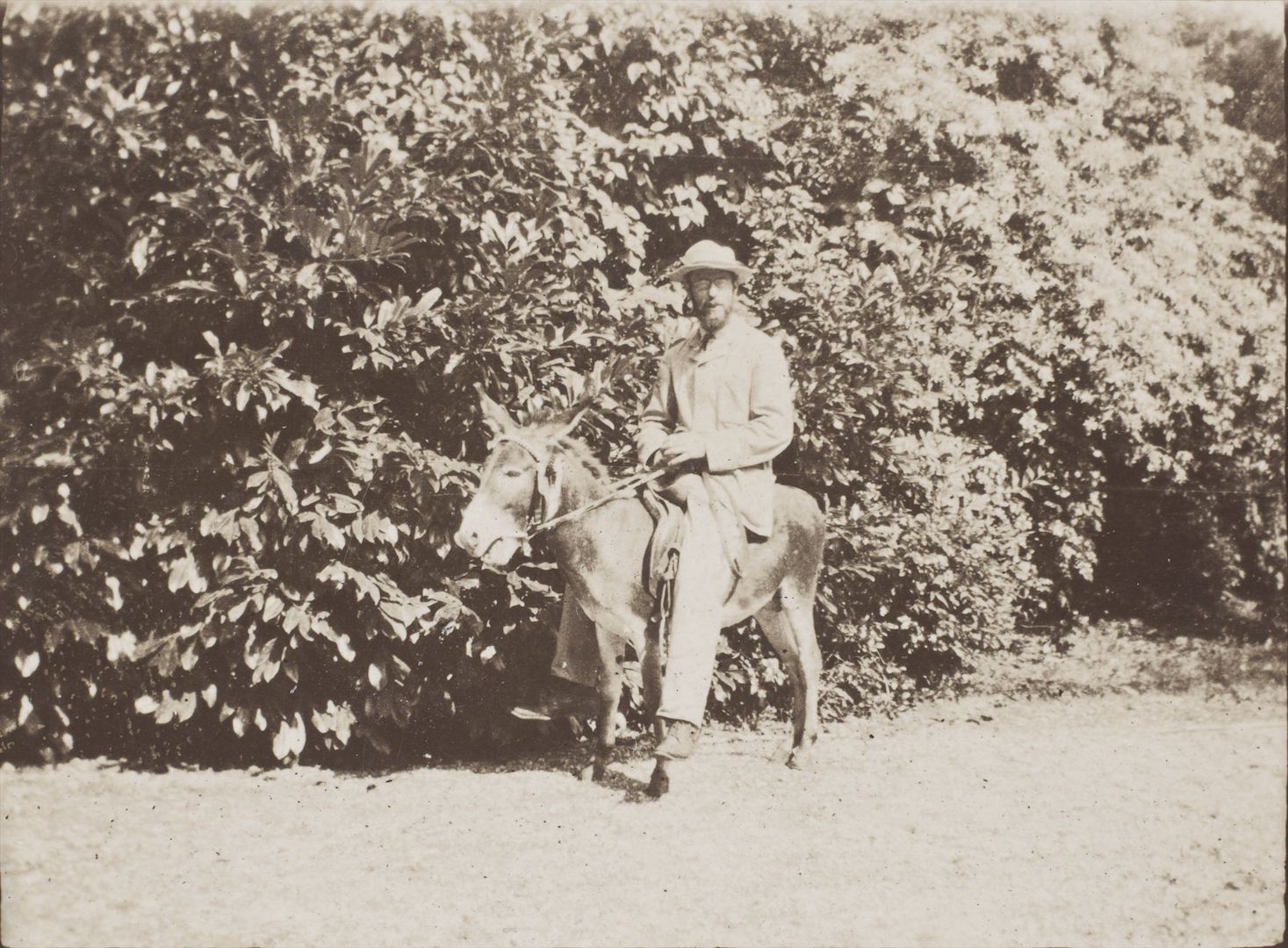 ?ル・グラン＝ランスでロバのトロッティに乗るボナール》1903-05年 モダン・プリント 3.8×5.2cm オルセー美術館 © Musée d'Orsay, Dist. RMN-Grand Palais / Patrice Schmidt / d…
