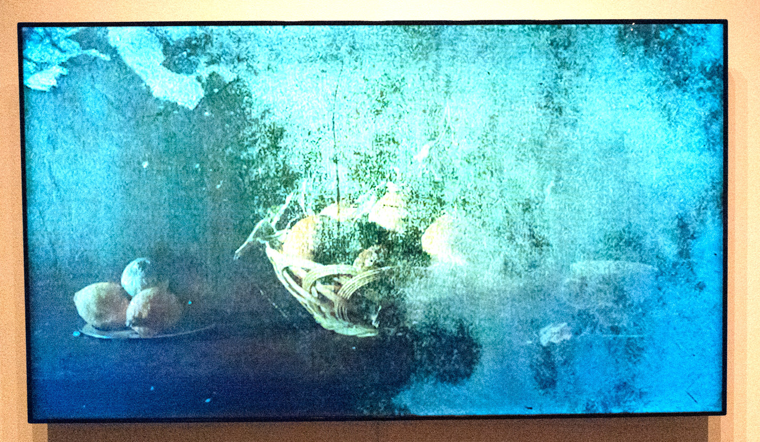 【個展】絵画と写真の狭間〜小瀬村真美「幻画～像（イメージ）の表皮」原美術館