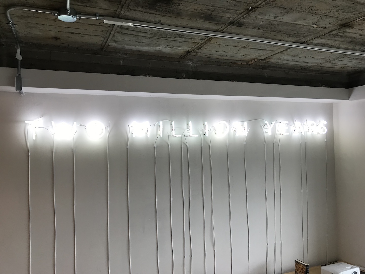 川久保ジョイさんのインスタレーション。高額なので3人で分割購入したエピソードなどは親しみやすくて良いですね。※コレクター所有