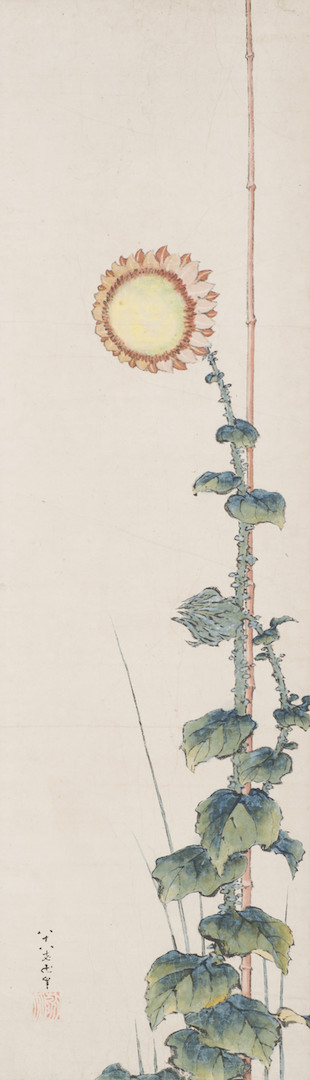 葛飾北斎《向日葵図》紙本1幅 弘化4年（1847） シンシナティ美術館 Cincinnati Art Museum, The Thoms Collection-Given by Mrs. Murat H. Davidson in Honor of …