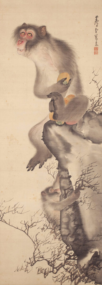長沢芦雪 《猿猴弄柿図》 絹本着色 一幅 104.0×37.7cm 江戸時代中期（18世紀） 個人蔵