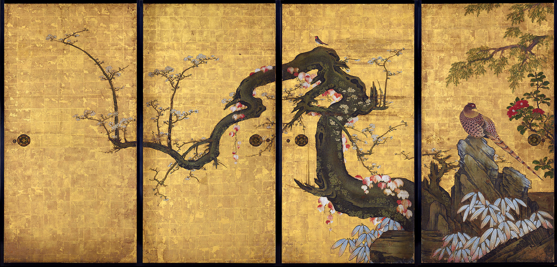 狩野山雪 《梅花遊禽図襖絵》 紙本金地着色 四面 各184.0×94.0cm 寛永8年（1631） 京都・天球院 重要文化財