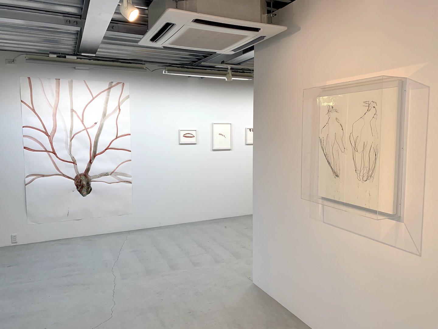 奥：水彩ドローイング作品《all same brain》 右：半立体的な針金を使ったドローイング《sun and fire》