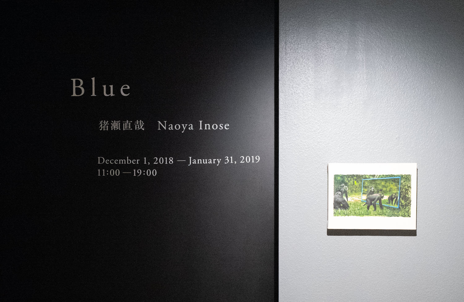 初個展「Blue」