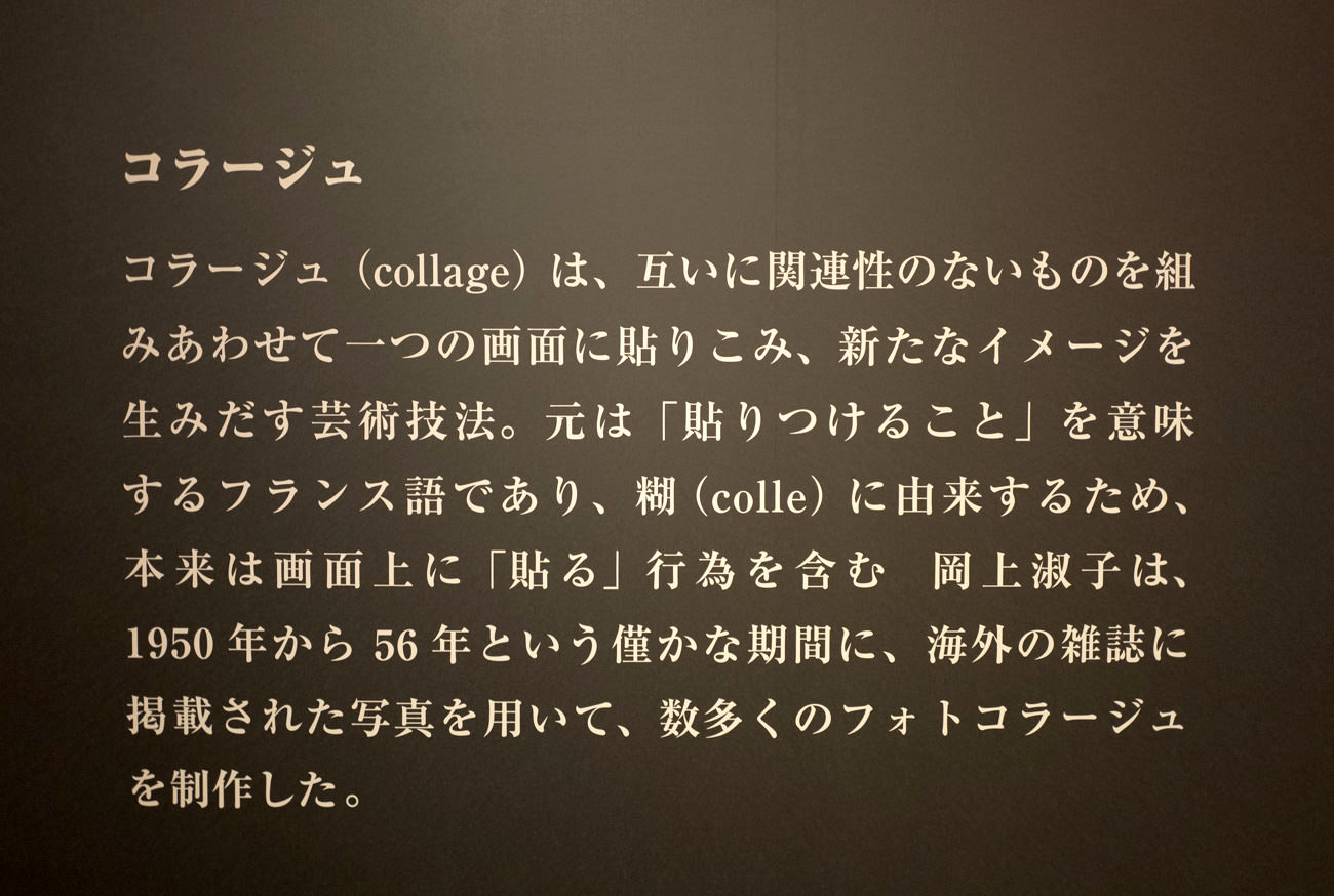 会場に入るとご覧のような解説が壁面に書かれています。