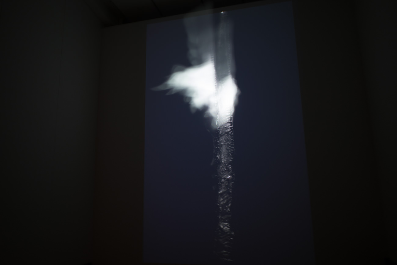 平川祐樹 《Buring a Second》2016年