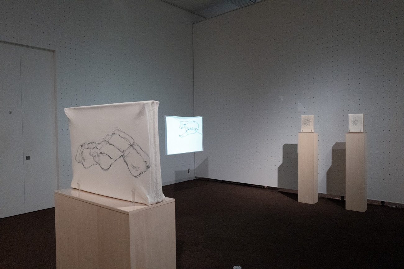中澤ふくみ《ある町 A町》 展示風景より