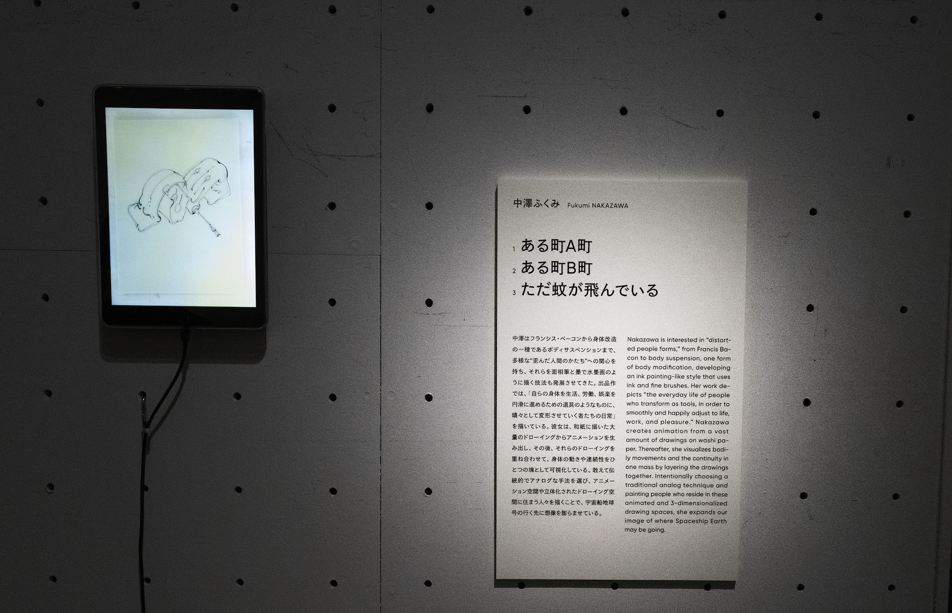 中澤ふくみさんの出品3作品は《ある町 A町》《ある町 B町》《ただ蚊が飛んでいる》