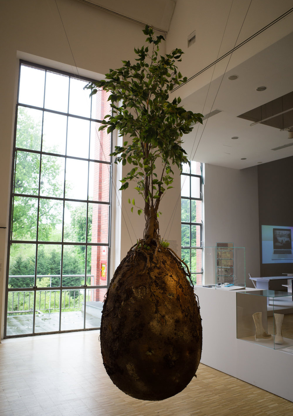 Capsula Mundi≪ Burial Pods≫