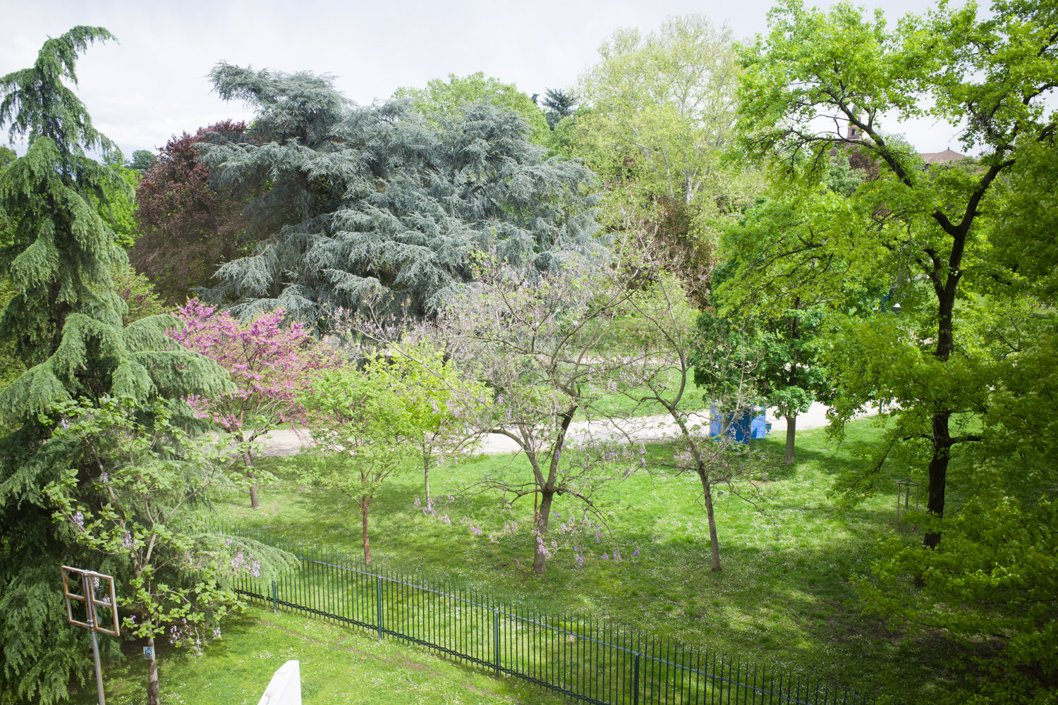 会場はセンピオーネ公園（Parco Sempione）内にあります。緑が多く心地良い周辺環境です。