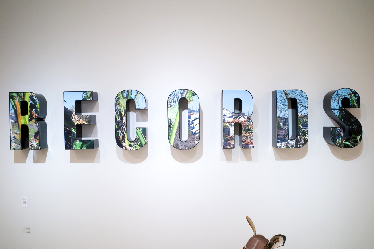 鮫島大輔さんの≪RECORDS≫