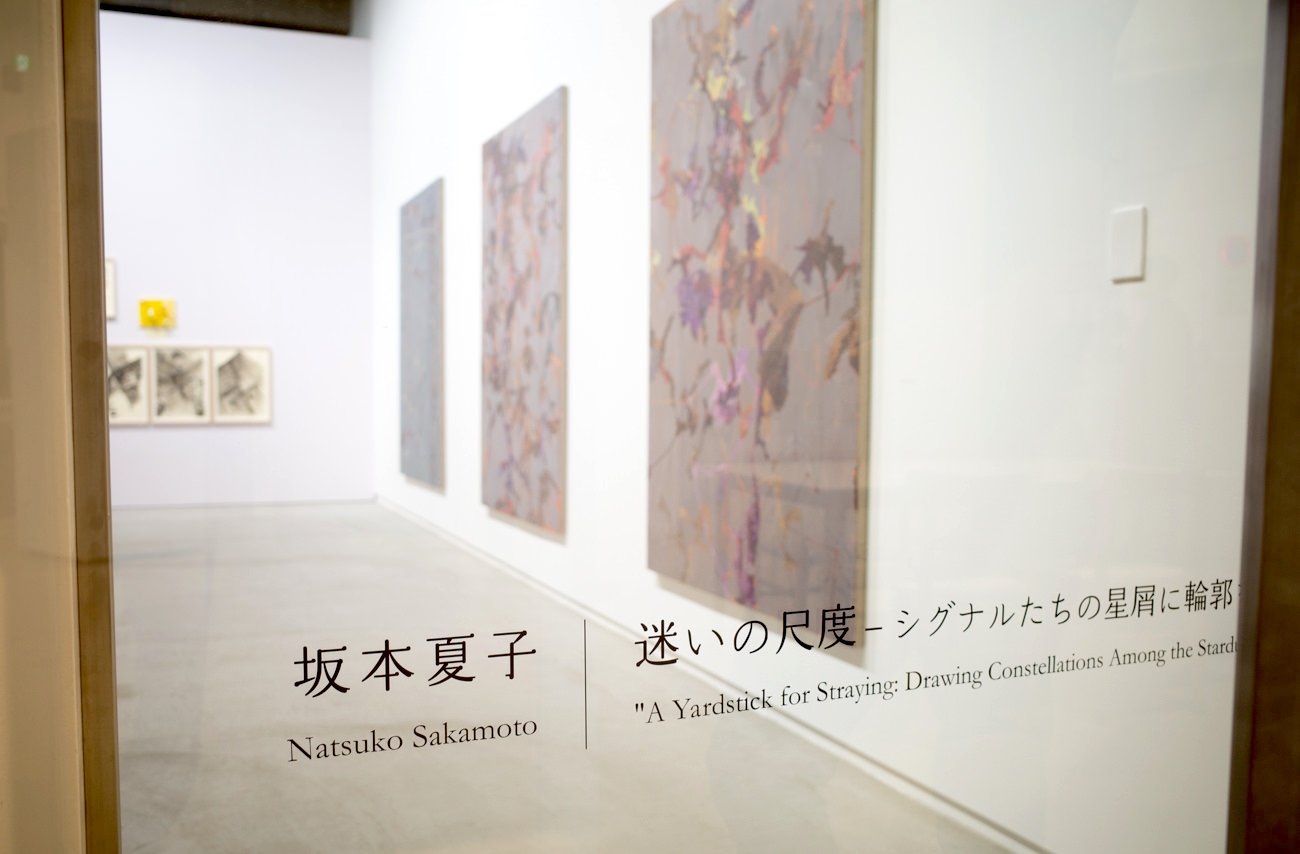 坂本夏子「迷いの尺度ーシグナルたちの星屑に輪郭をさがして」
