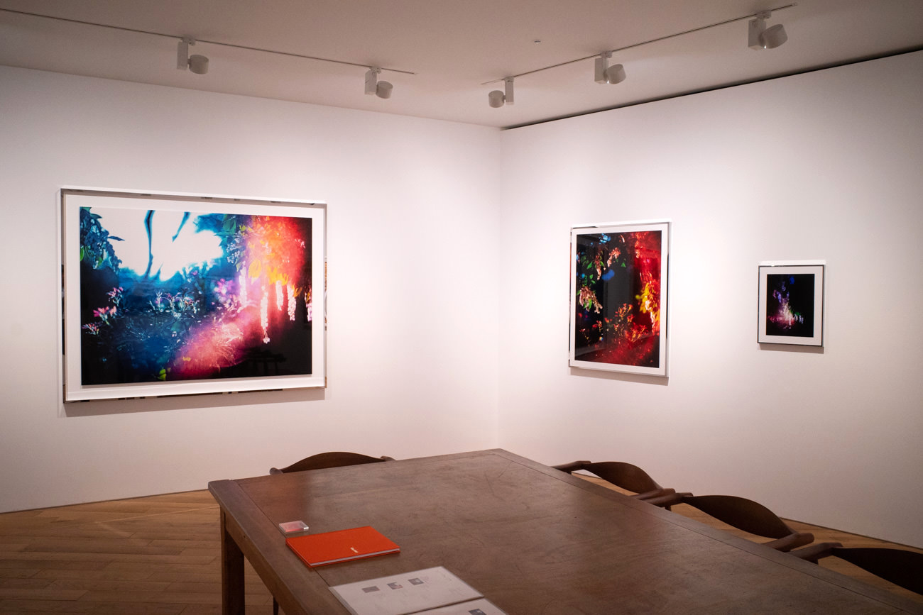 【個展】光と色彩を操る〜武田陽介「Ash without fire here」タカイシイギャラリー フォトグラフィー/フィルム