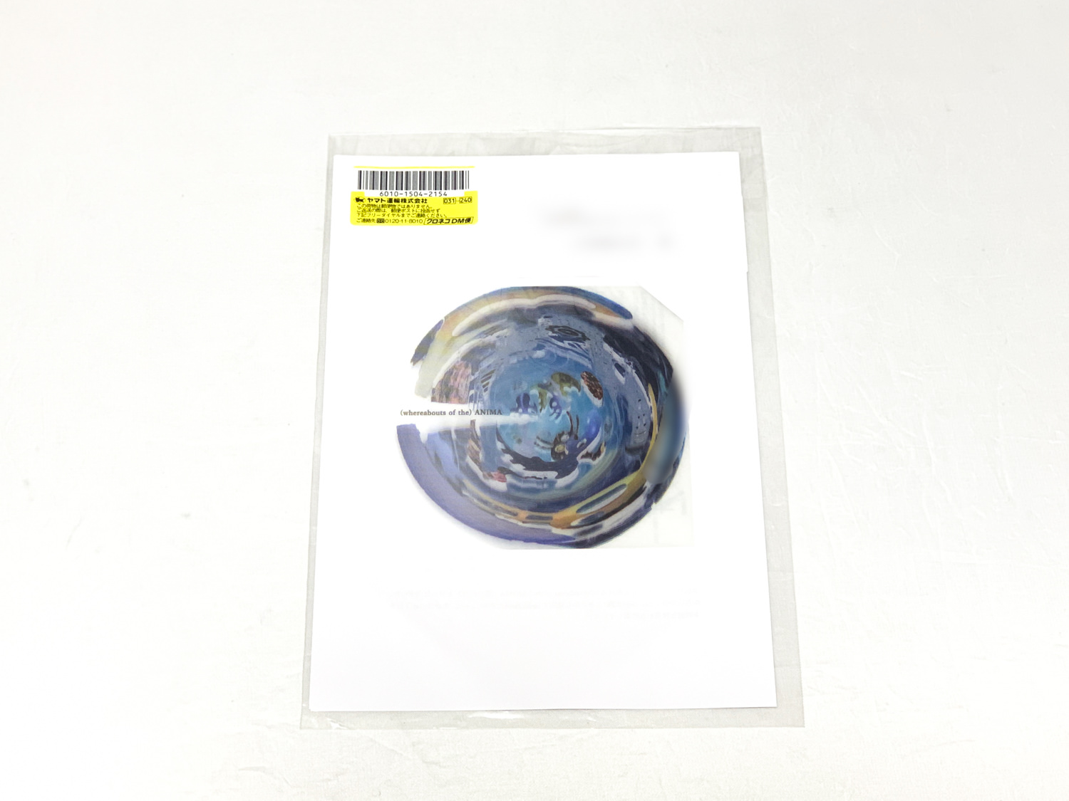 植田爽介さんの個展「(whereabouts of the) ANIMA」