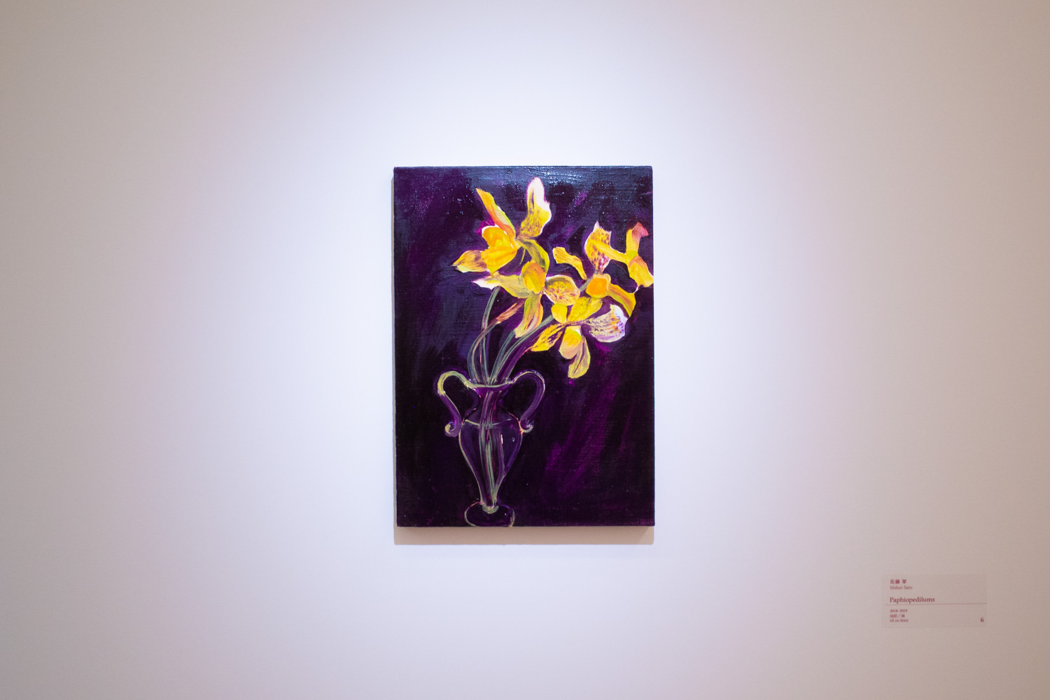 佐藤翠≪Paphiopedilums≫ 2018-2019年 45.5x33.3cm ©Midori Sato