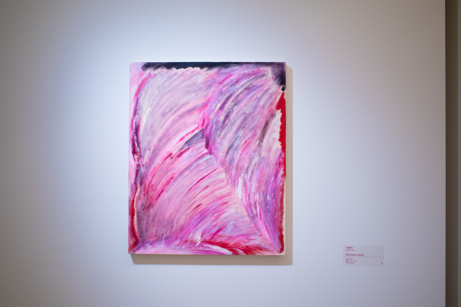 佐藤翠≪Red sheer carpet≫ 2017-2019年 65.2x53.0cm ©Midori Sato