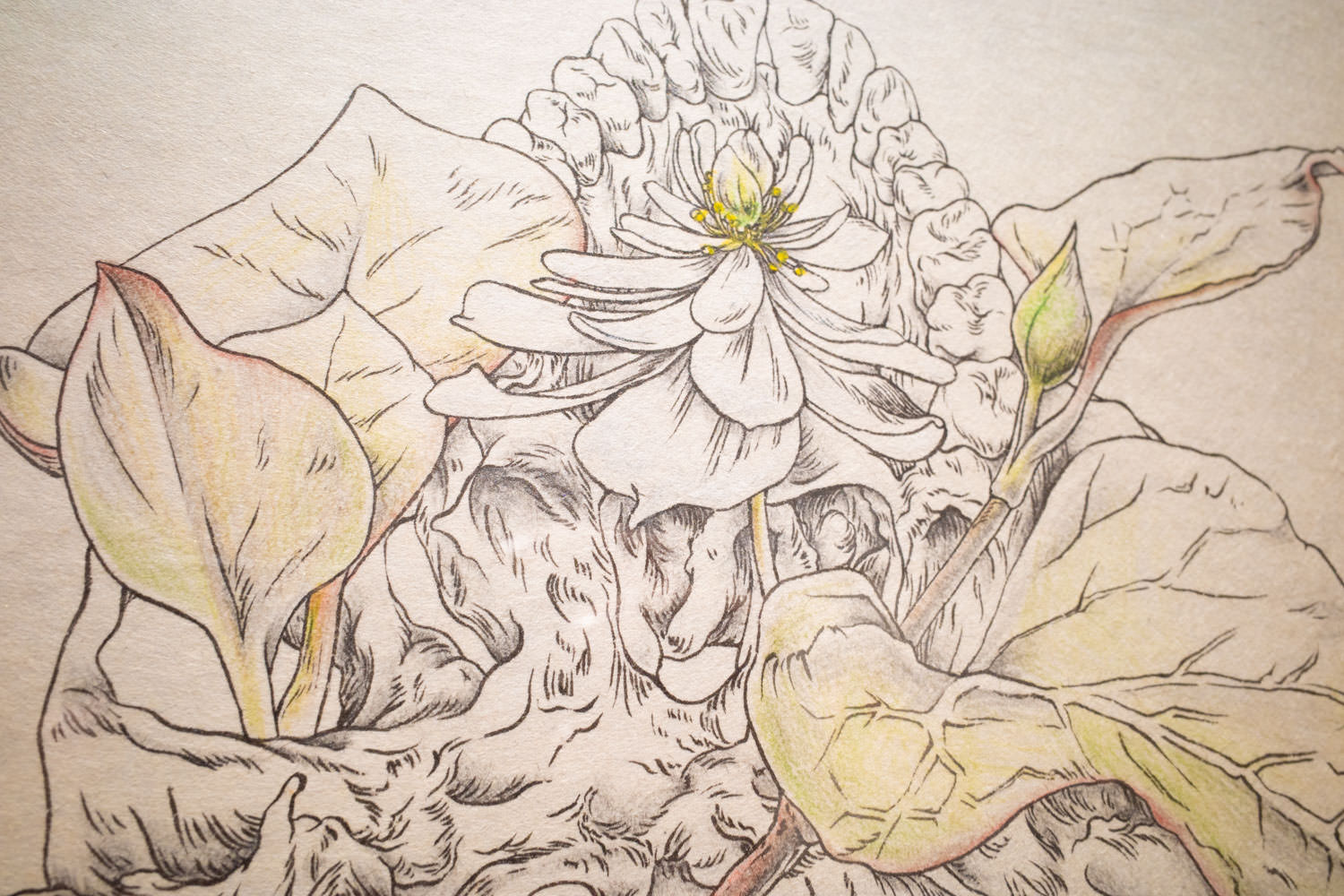 ≪flow-wer 010≫ ※部分