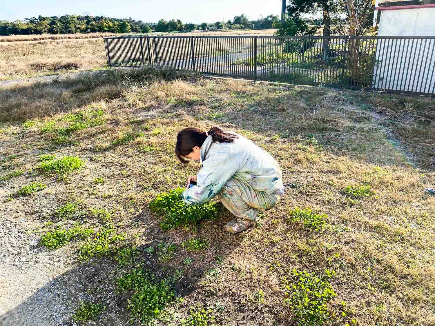 隣接するアトリエには画家仲間の塩原有佳さんがアトリエを構えています。2人で仲良く四つ葉のクローバーを探す光景が温かくて印象的でした。