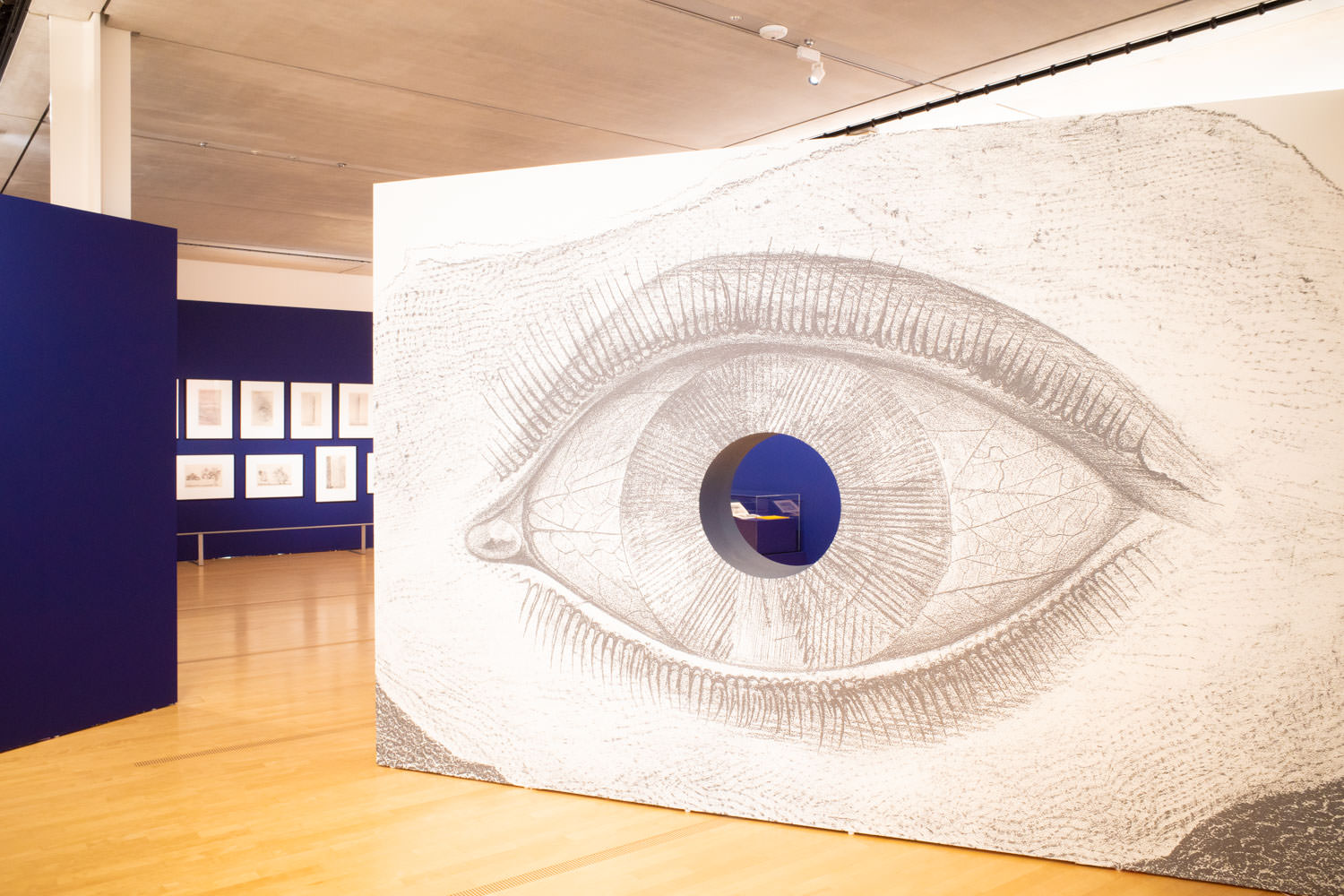【企画展】「シュルレアリスムと絵画 ―ダリ、エルンストと日本の「シュール」展」ポーラ美術館