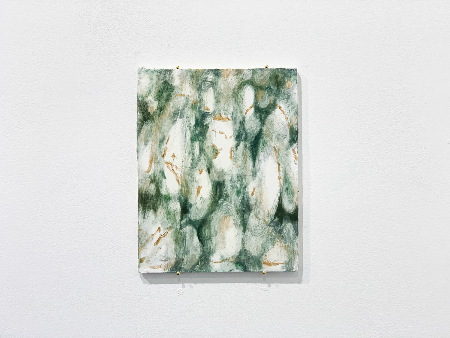 展示作品