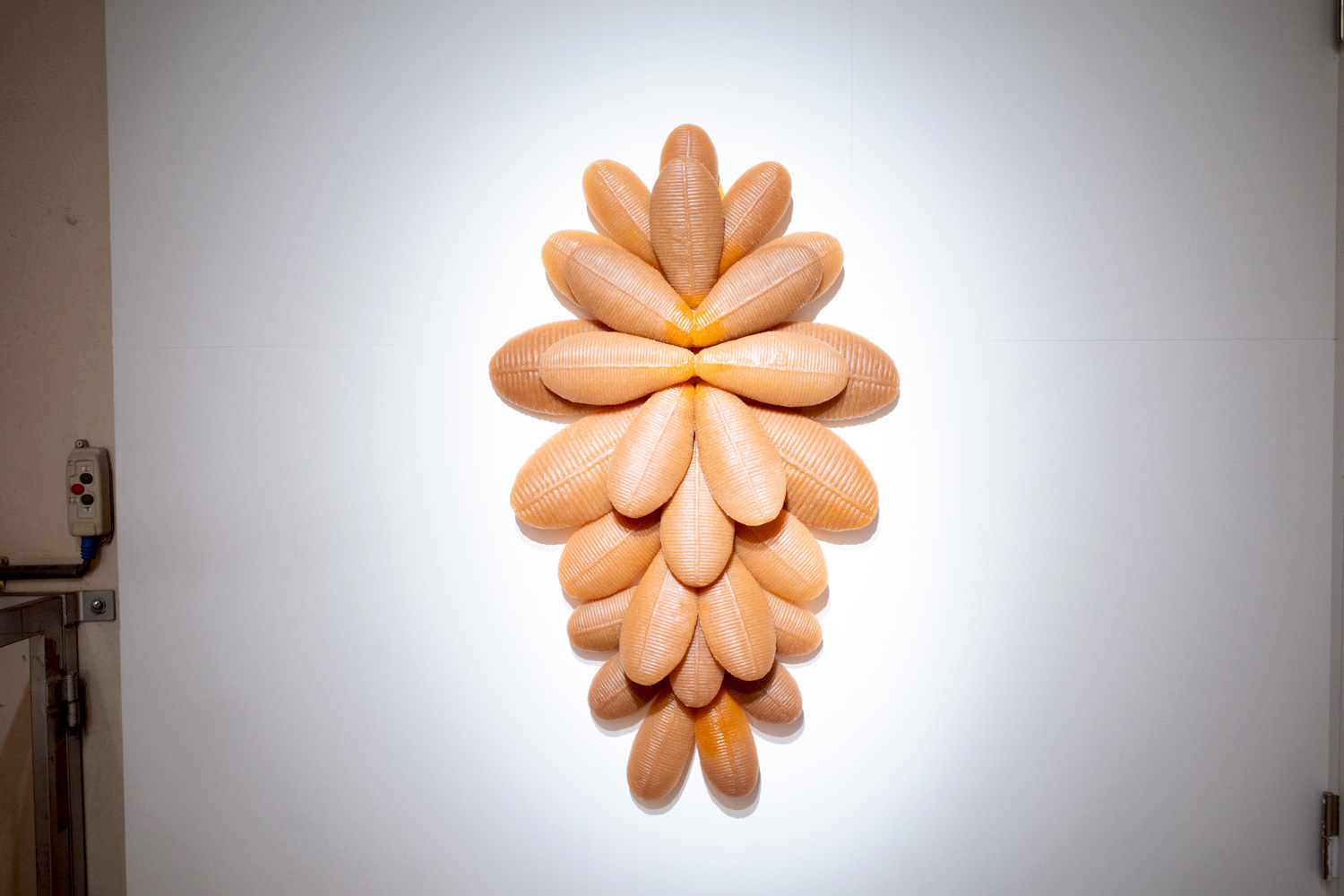 杉浦亜由子《Untitled》2019年