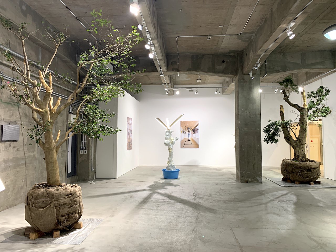 展示風景