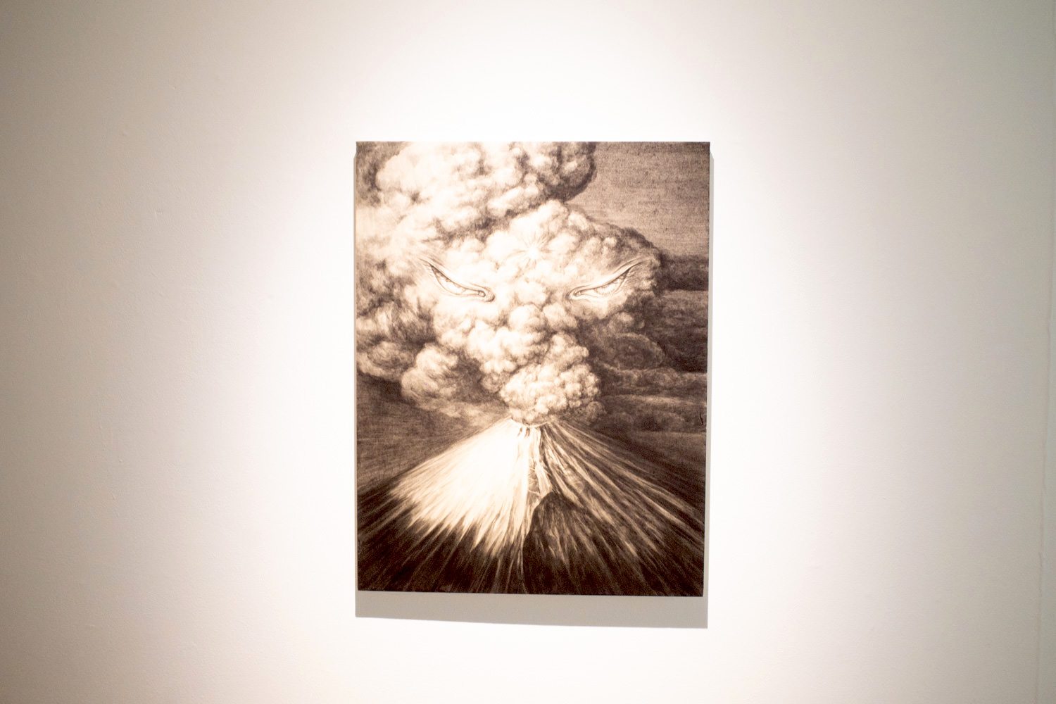 鴻池朋子《Fuji》 2008年