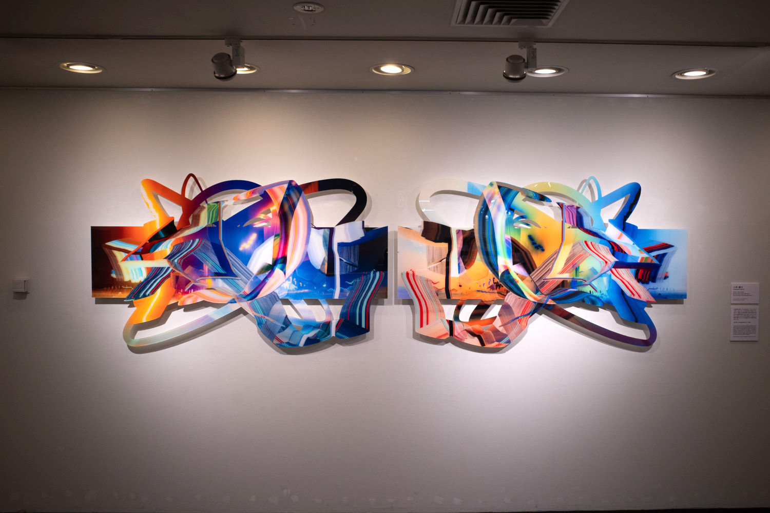 Kenta Kobayashi, "Dizzy #smudge, Dizzy #smudge #invert," inkjet print, acrylic mount