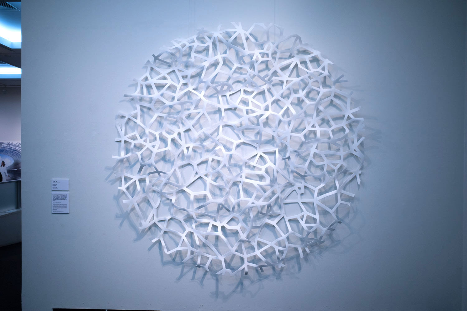 Tsutomu Yamamoto, "cosmic net," urethane paint, FRP