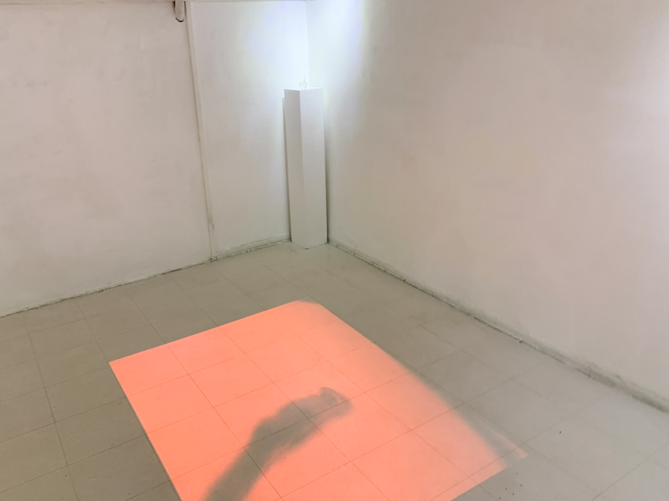 Rina Ohmoto《Vague》抜粋 2018年 身体、Photograph
