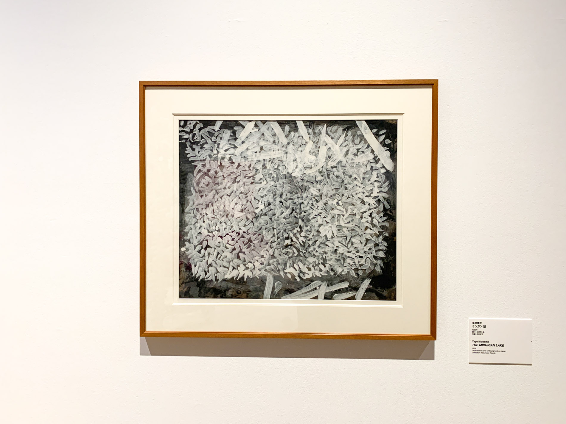 草間彌生《ミシガン湖》1959年 墨汁、白胡粉、紙 62x75cm