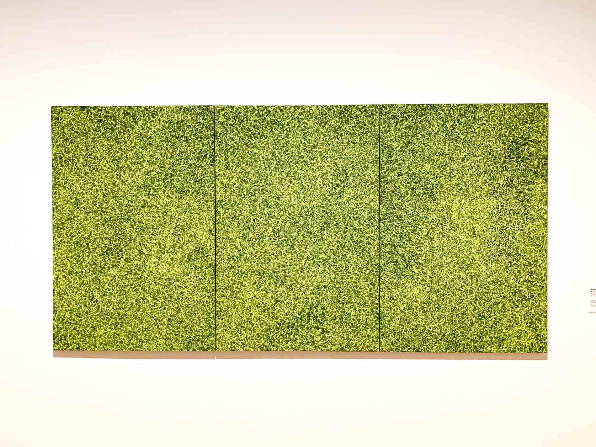 草間彌生《芽生え》1992年 アクリル絵具、キャンバス 145x336cm 所蔵:武田安正