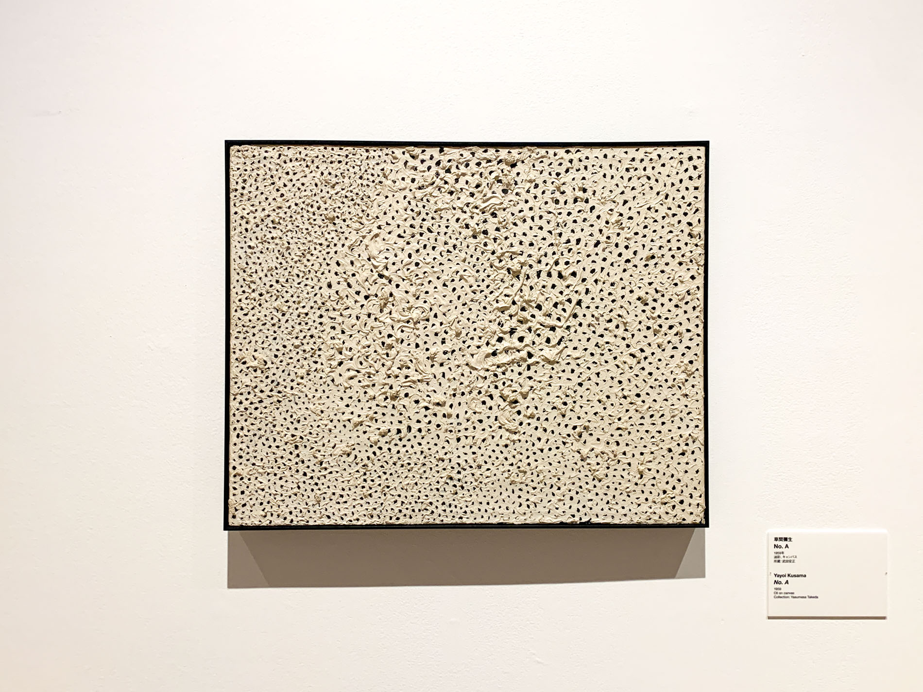 草間彌生《No.A》1959年 油彩、キャンバス 72.4x89.8cm 所蔵:武田安正