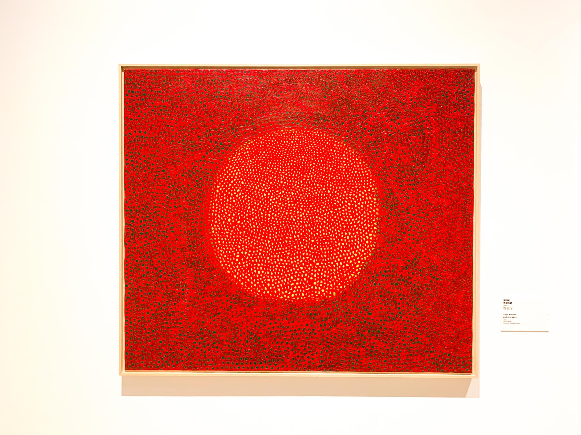 草間彌生《無限の網(Infinity Nets)》1965年 油彩、キャンバス 132x152cm 所蔵:宮津大輔