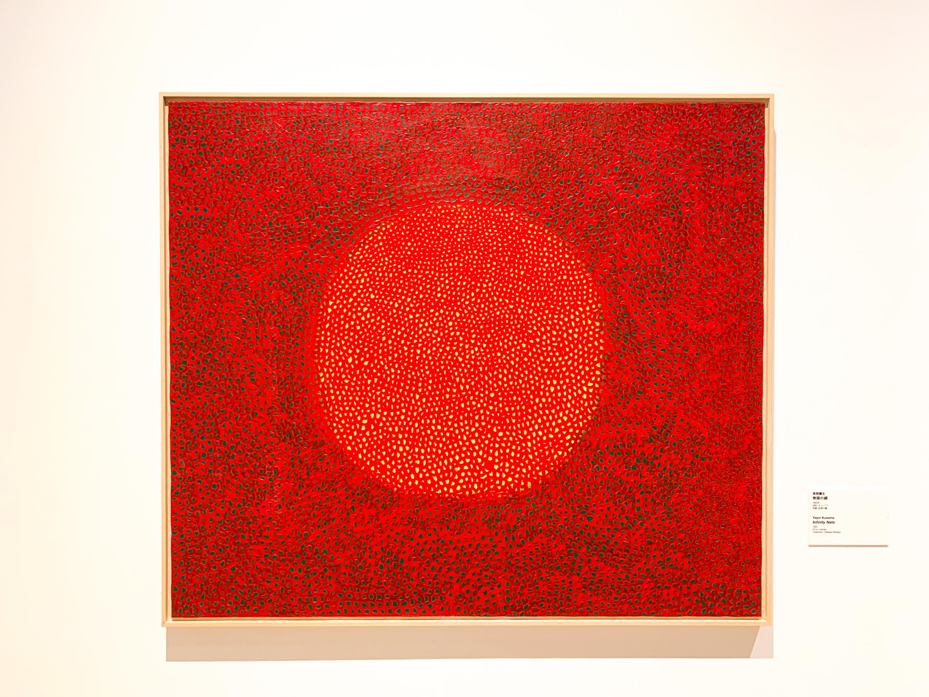 草間彌生《無限の網》1965年 宮津大輔氏所蔵 〜STARS展・展示風景（森美術館・2020年開催）
