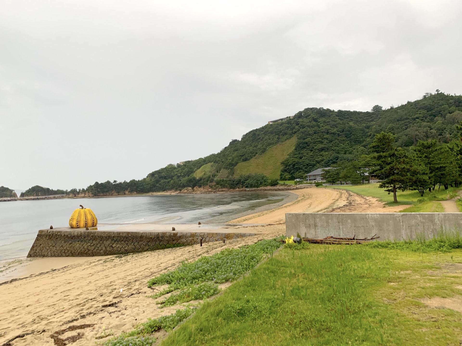 草間彌生《南瓜》「直島ふるさと海の家 つつじ荘」エリアより、ベネッセハウスパーク方面を撮影