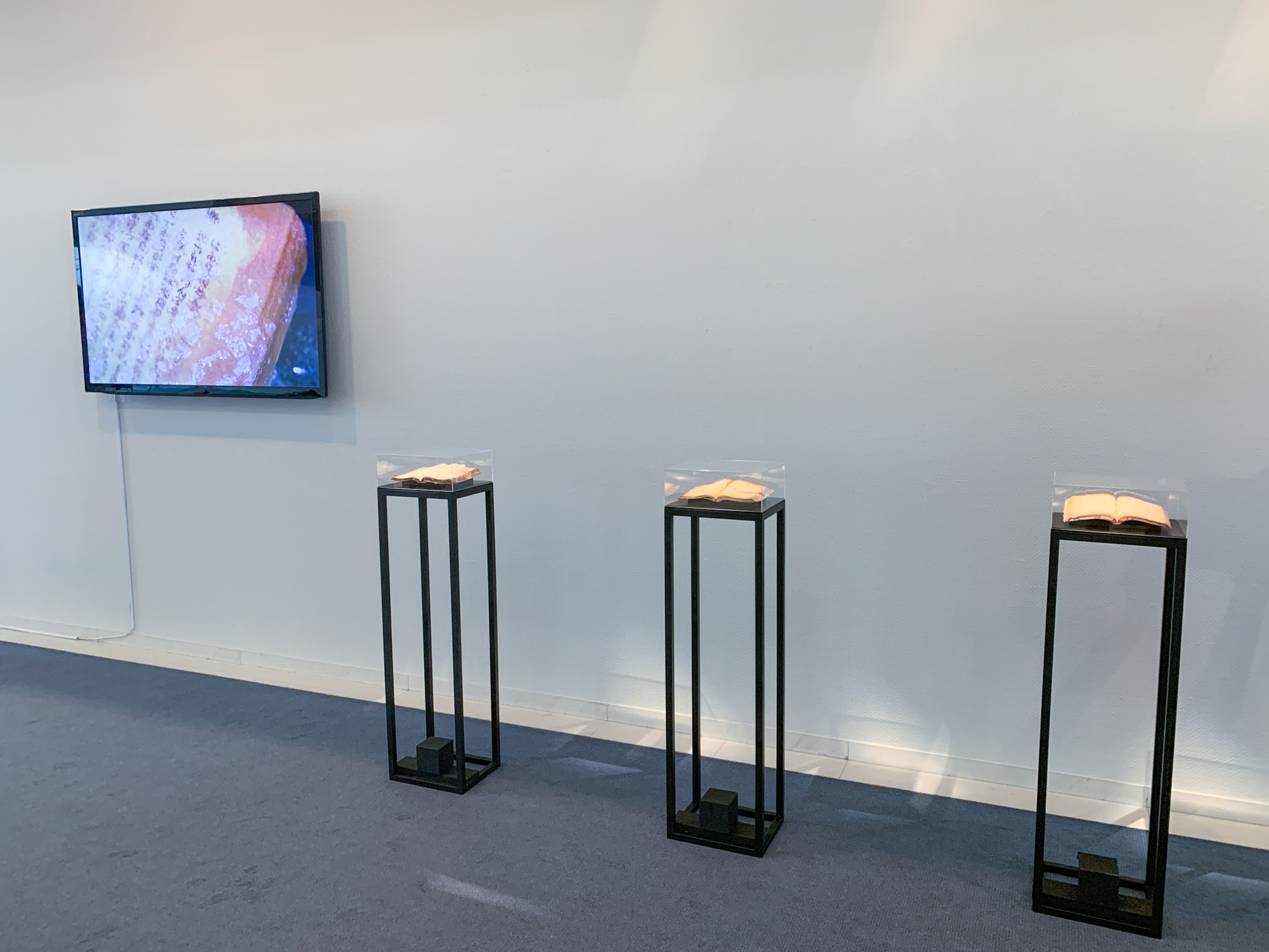 山本アンディ彩果さん作品展示風景