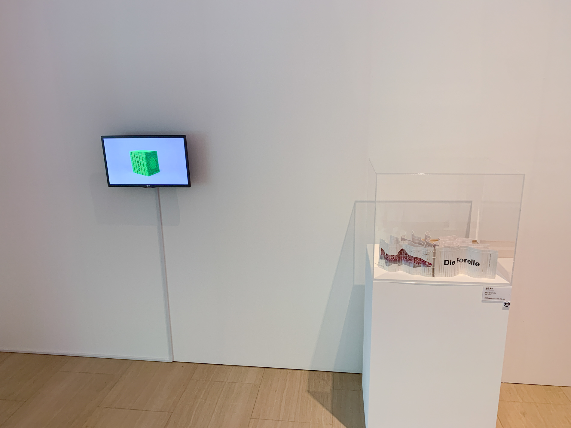 展示風景〜太⽥泰友作品展示コーナー