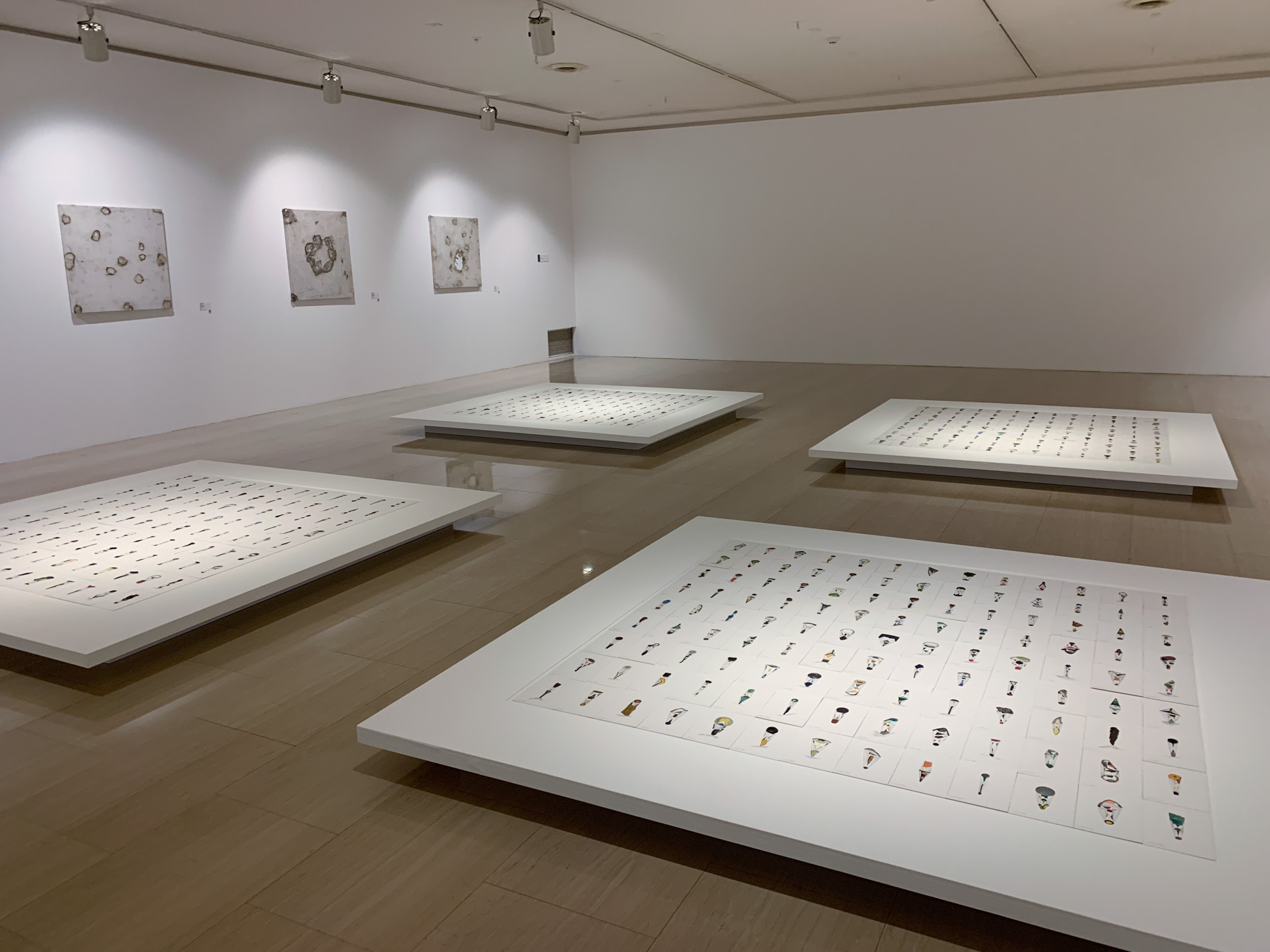 展示風景〜⼤久保英治《⽇常の歩⾏》2019年