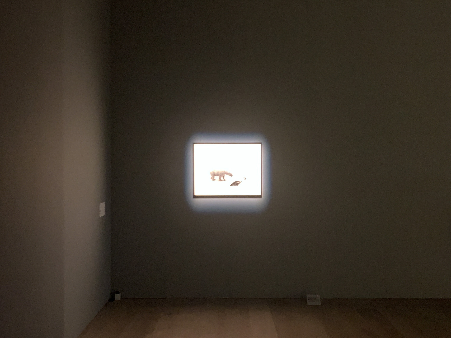 代表的な作品《シロクマ》の展示風景