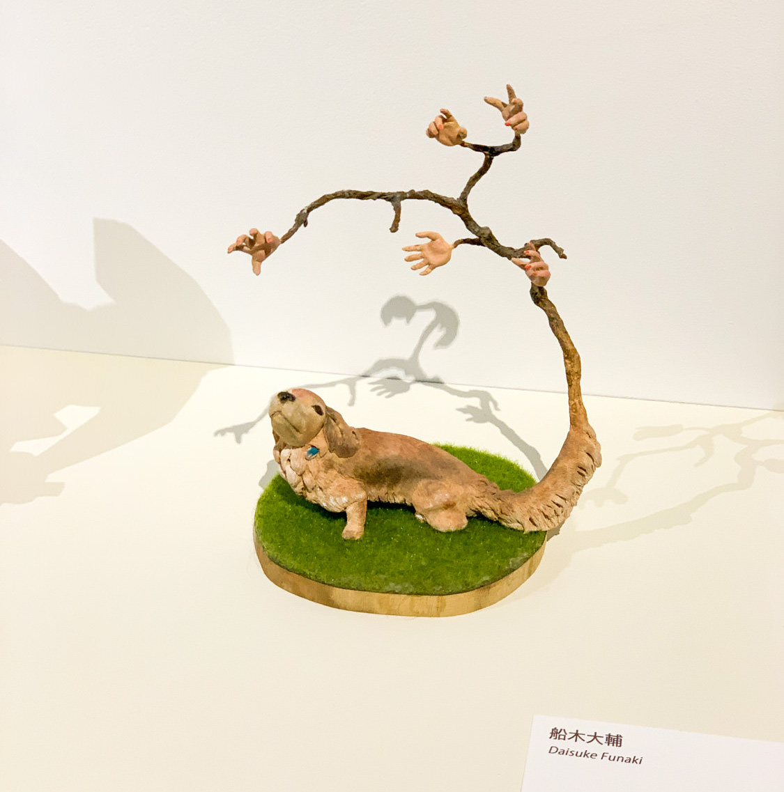 船木大輔