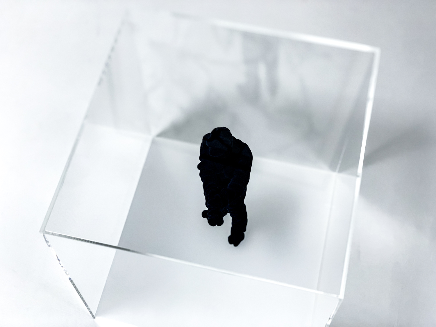 【My Collection】名和晃平『METAMORPHOSIS』特装版の開梱レポート！
