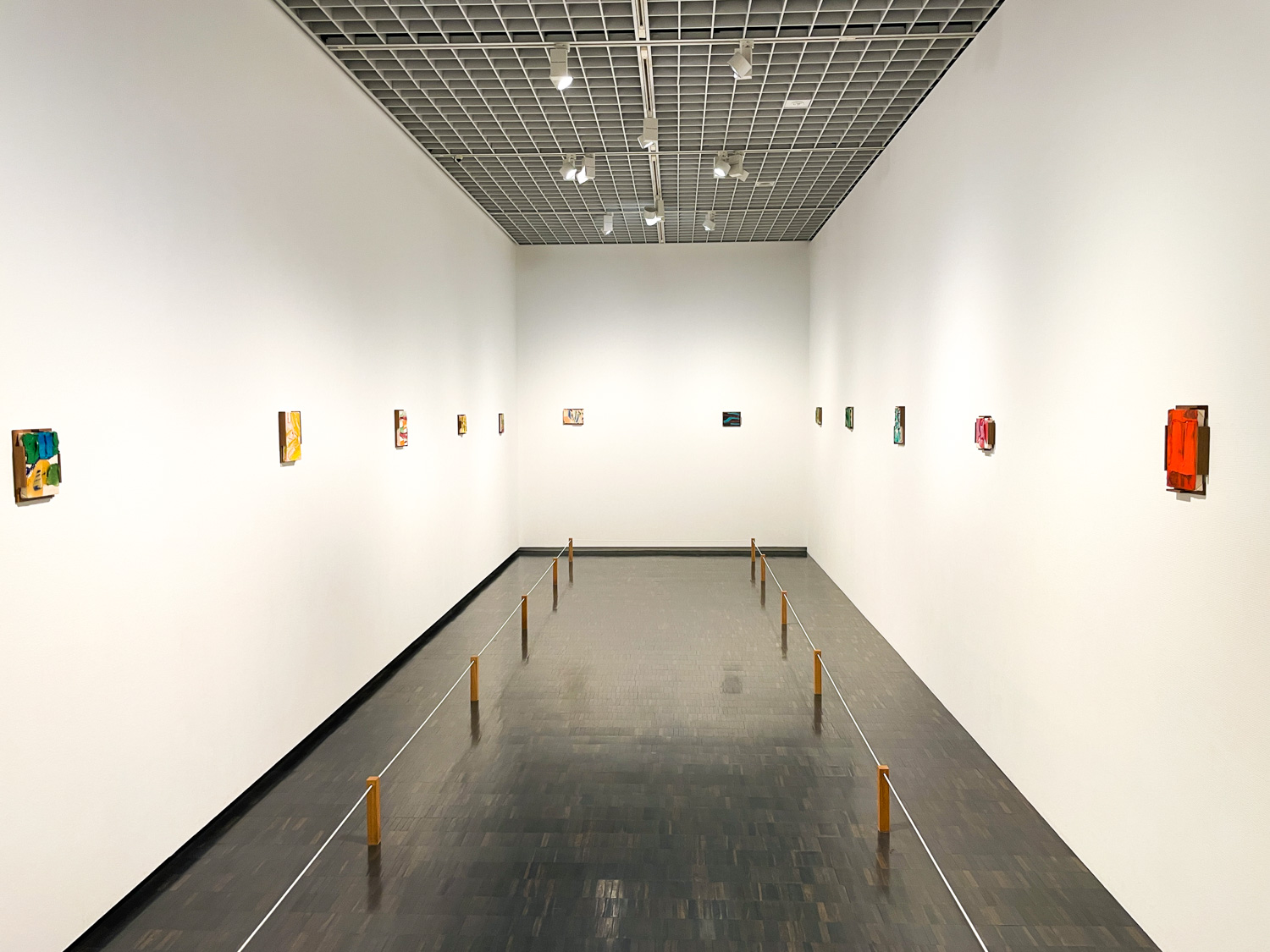 【MOMATコレクション展】岡﨑乾二郎「TOPICA PICTUS たけばし」東京国立近代美術館