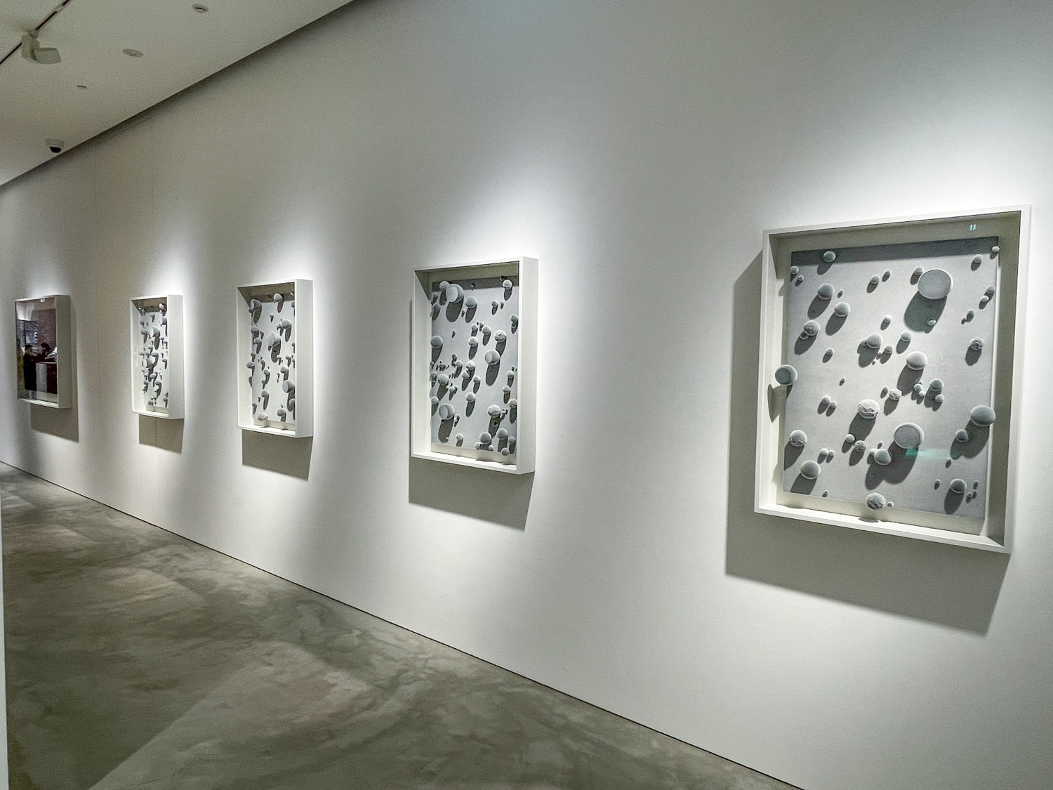 展示風景〜名和晃平《Rhythm#1 (Velvet)》, 《Rhythm#2 (Velvet)》, 《Rhythm#3 (Velvet)》, 《Rhythm#4 (Velvet)》2020年